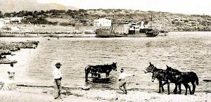 2639- Tipaza - Plage - Quai - Colline des Temples2 - 1916
